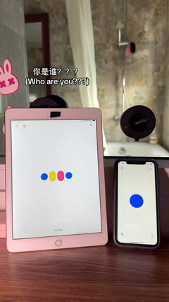 學中文