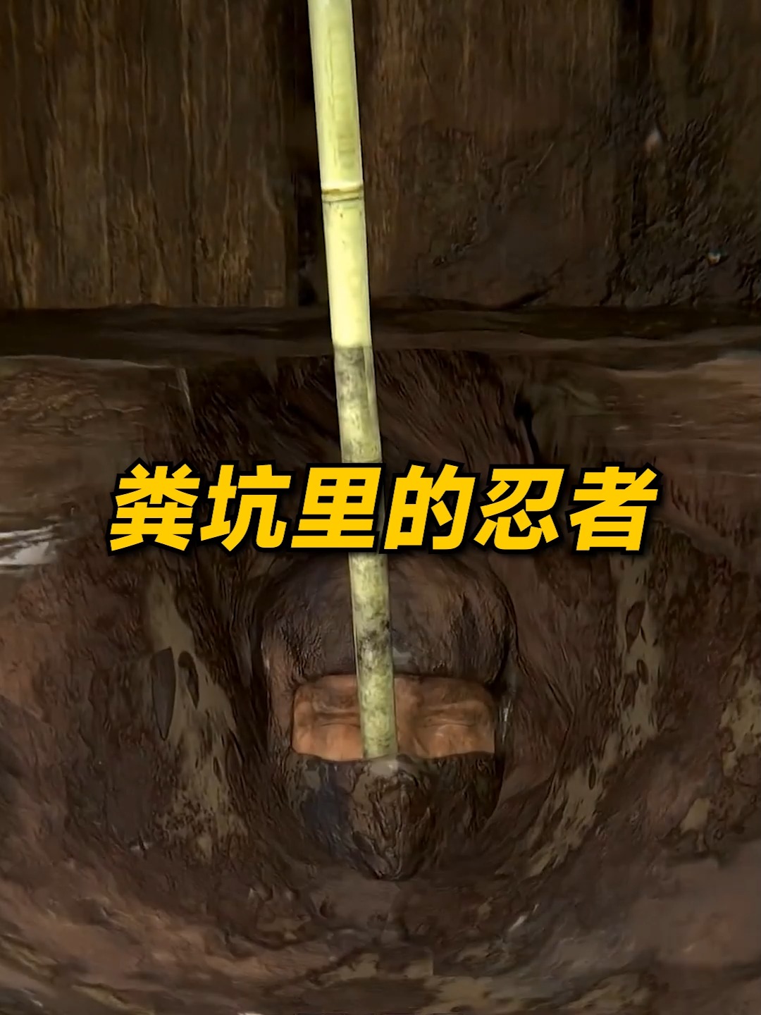 葬在糞坑裡的忍者