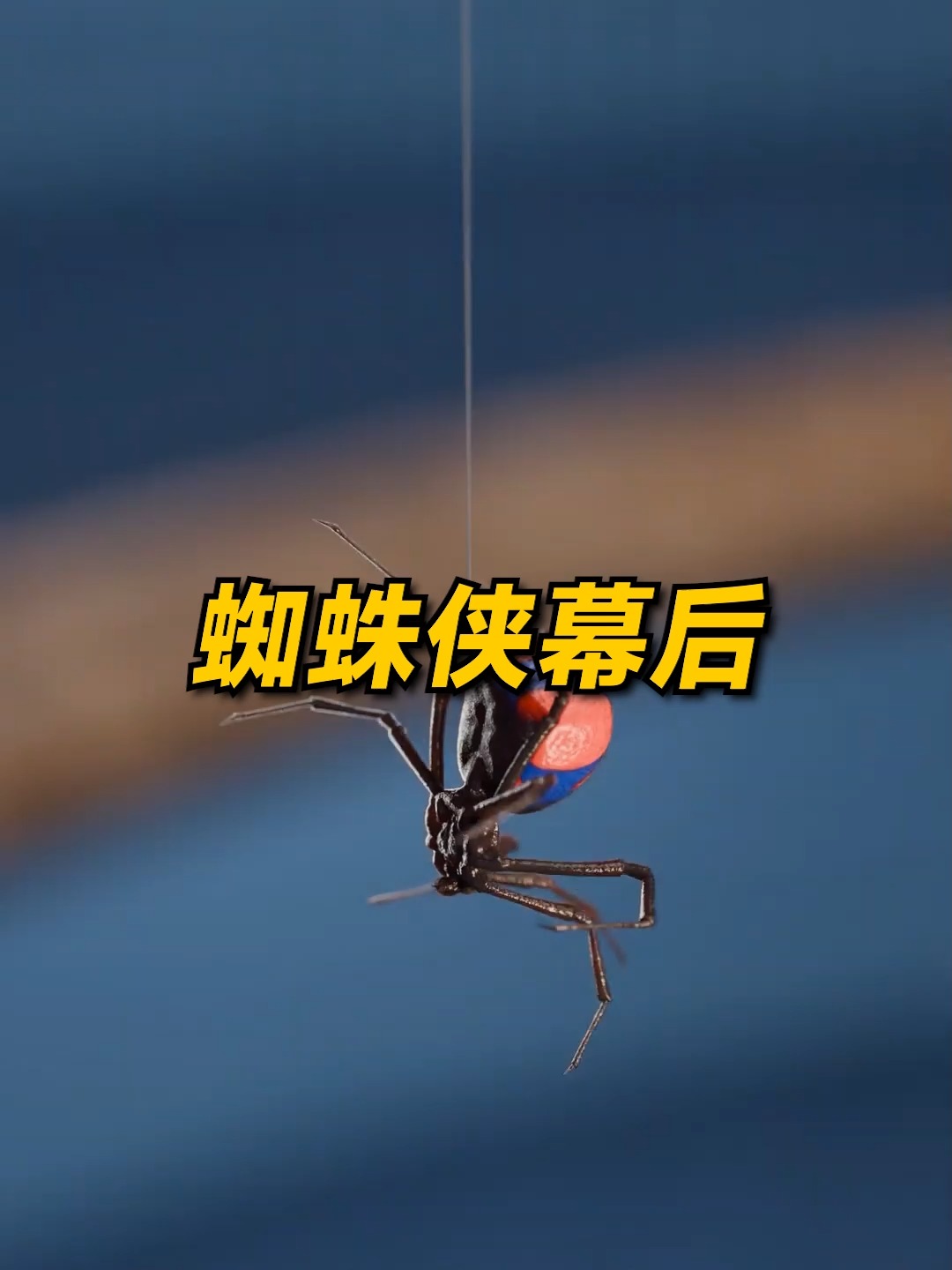 蜘蛛俠被蜘蛛咬的場景怎麼拍的？