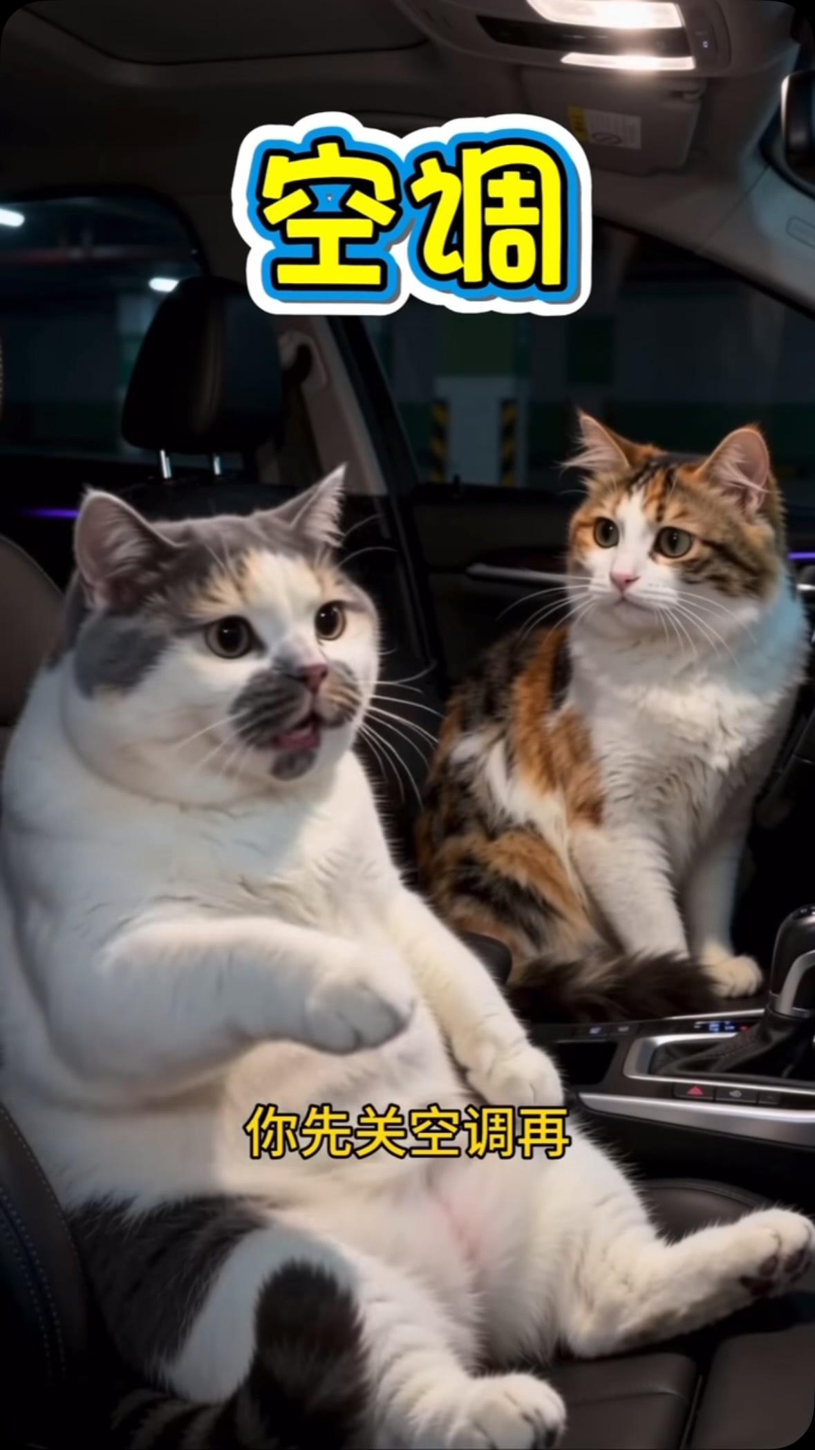 ai貓咪