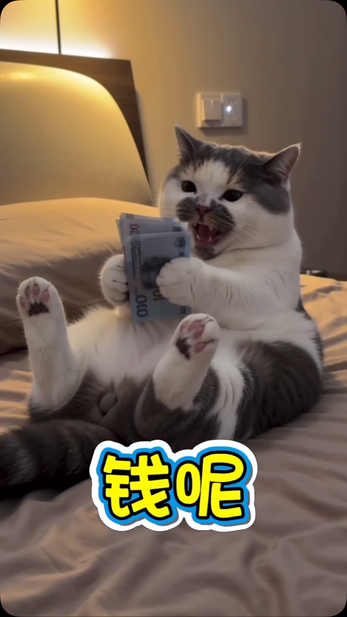 ai貓咪