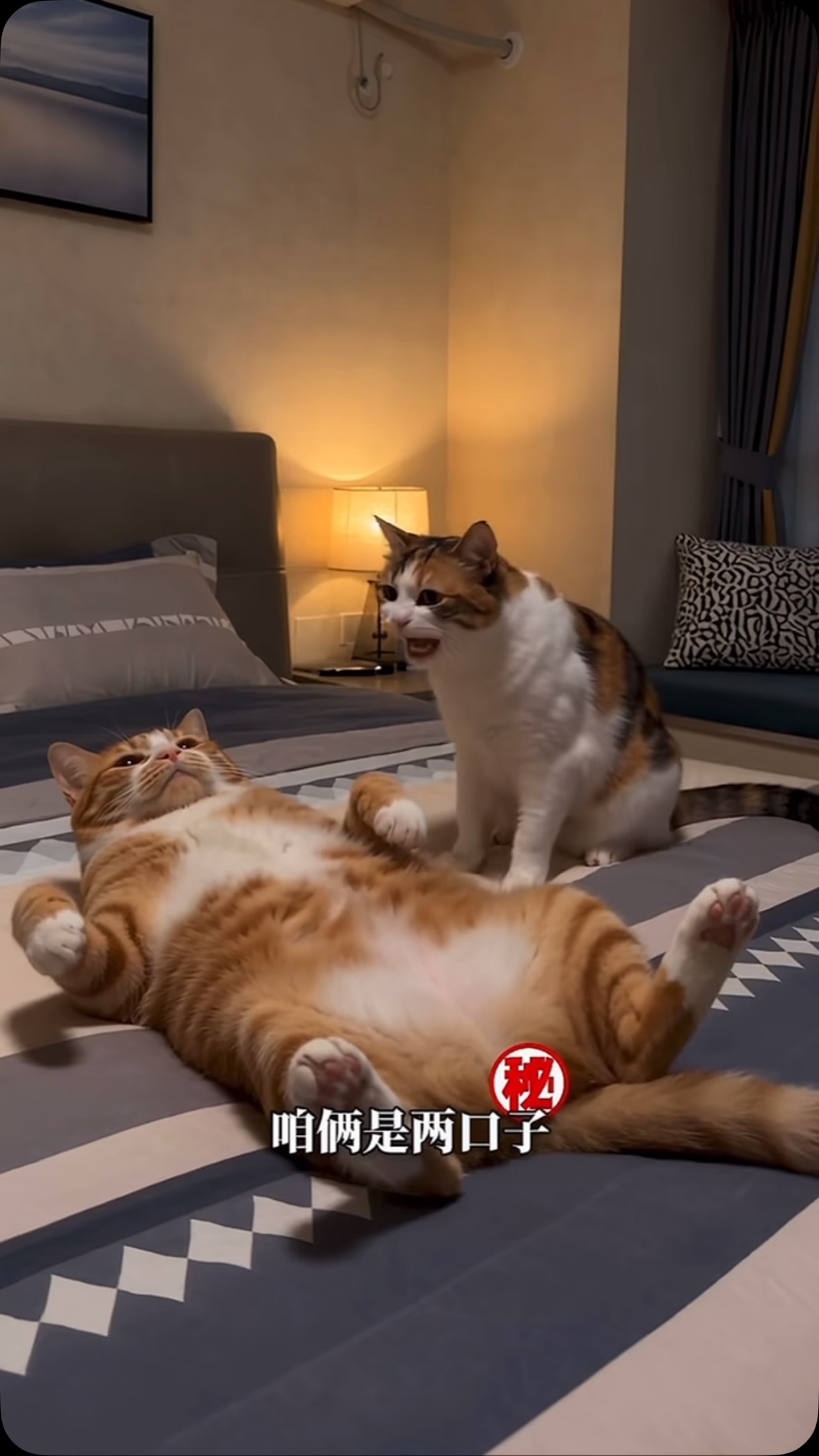 抽象 影片縮圖