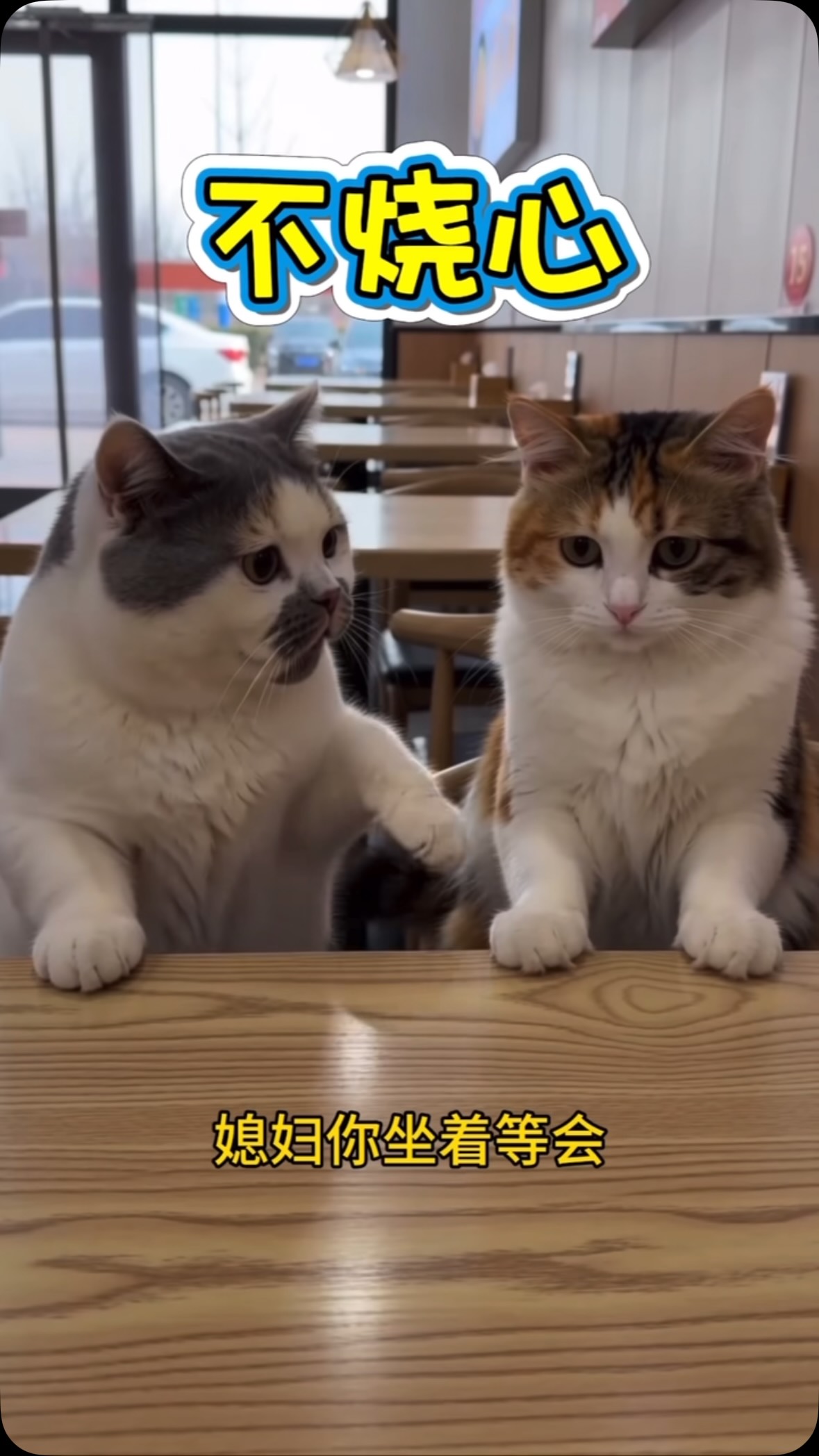 萌寵日常 影片縮圖