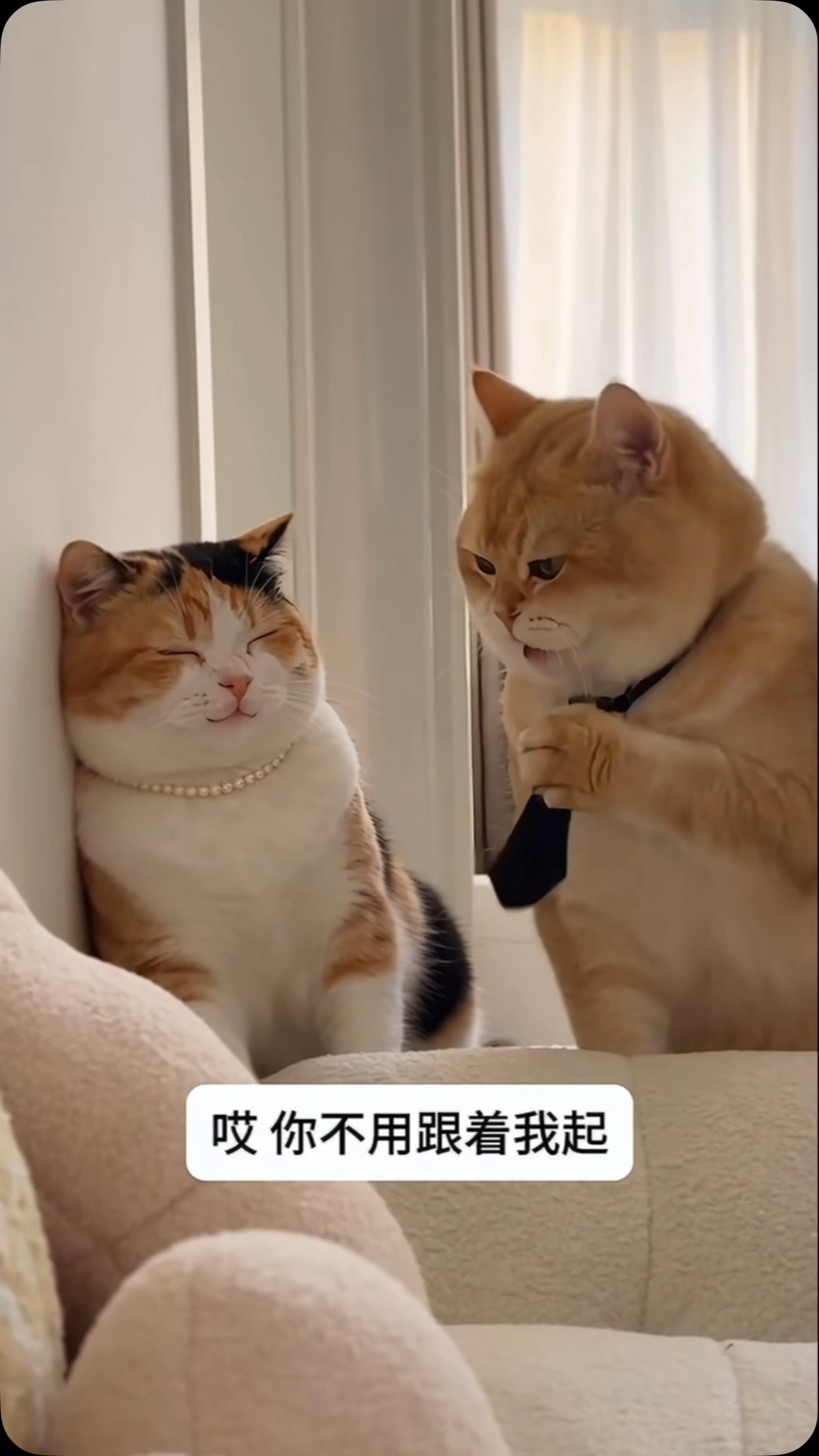 ai貓咪